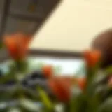 Elegant design of accordion auto sun shades