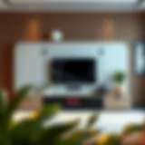 Modern entertainment center showcasing a 65 inch TV with stylish decor