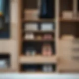 Stylish clear pocket shoe organizer displayed in a modern wardrobe