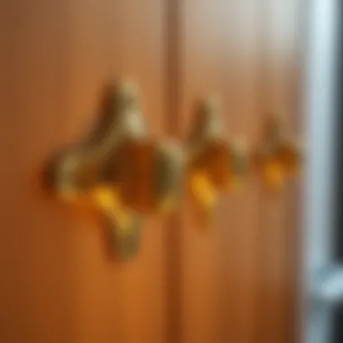 Close-up of gold cabinet door hinges highlighting material quality