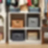 Stylish ClosetMaid cube insert showcasing organizational efficiency