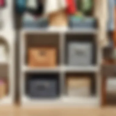 Stylish ClosetMaid cube insert showcasing organizational efficiency