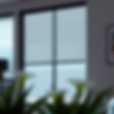 Elegant sliding glass door blinds showcasing modern design