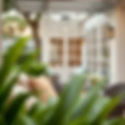 Elegant outdoor setting featuring stylish patio chair cushions