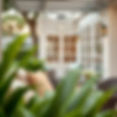 Elegant outdoor setting featuring stylish patio chair cushions