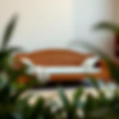 Elegant wood daybed frame design showcasing intricate craftsmanship