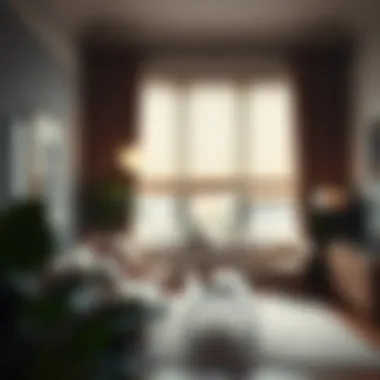 A well-decorated room with budget-friendly blinds