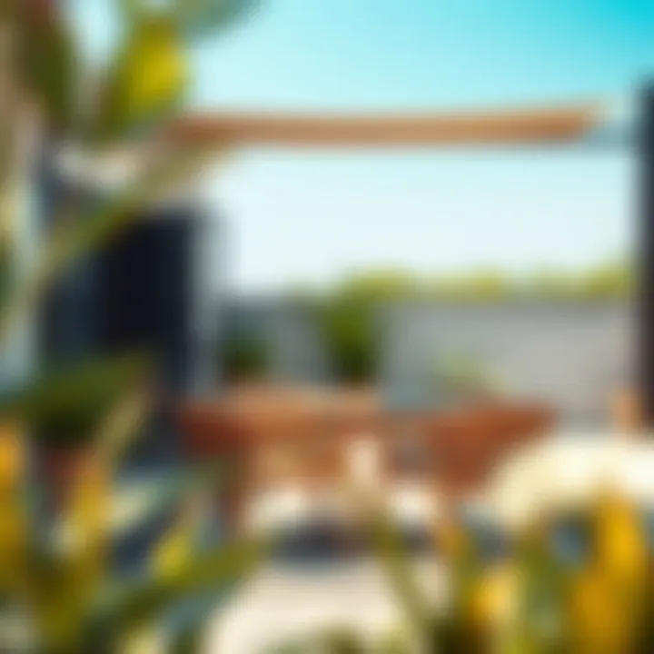 Comfortable outdoor dining chair set under a shaded area