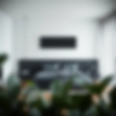 Minimalist bedroom featuring a black floating headboard