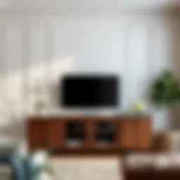 Elegant dark wood TV console in modern living room setting