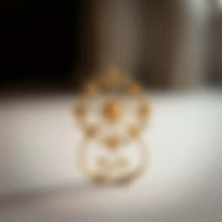 Elegant decorative clamp showcasing intricate design elements