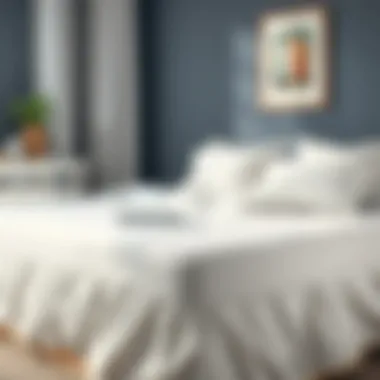 Maintenance tips for king size bed covers displayed visually