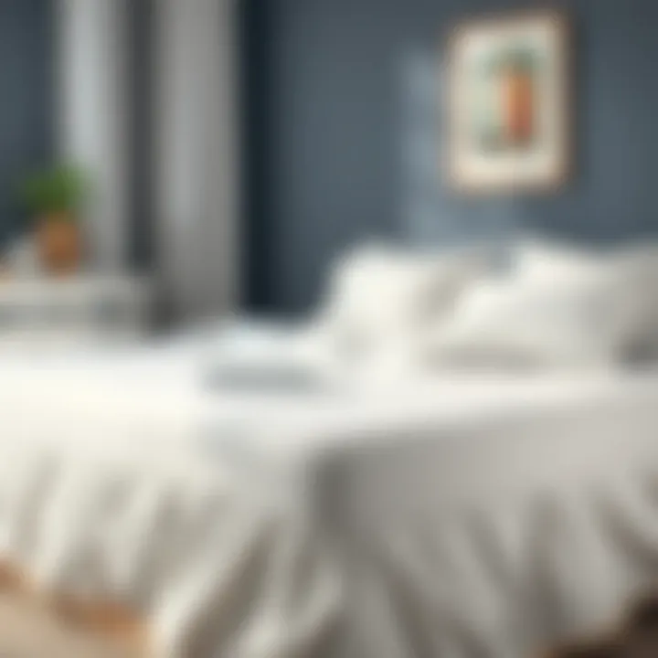 Maintenance tips for king size bed covers displayed visually