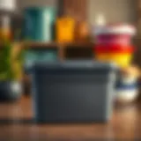 Large plastic container with a hinged lid showcasing versatility in storage