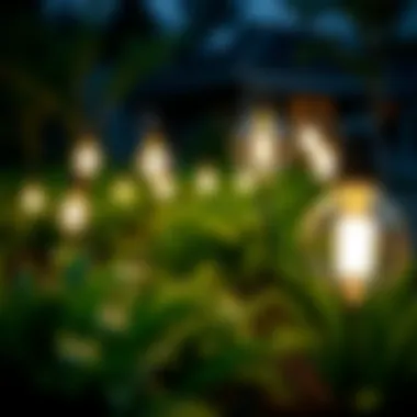 Creative installation of light bulb garden lights integrated into landscape design