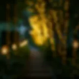 Elegant outdoor light bulb garden lights illuminating a pathway