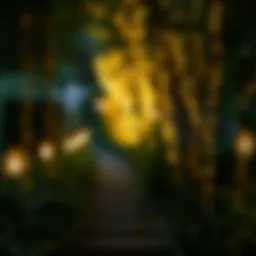 Elegant outdoor light bulb garden lights illuminating a pathway