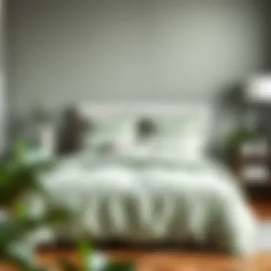 Stylish bedroom featuring sage green bed-in-a-bag arrangement
