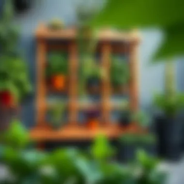 Stylish vertical garden setup using trellis planters