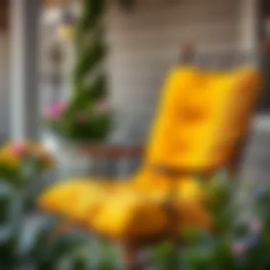 Maintenance tips illustrated for outdoor rocking chair cushions