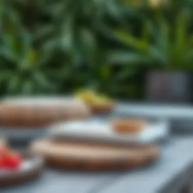 Assorted outdoor food trays showcasing various materials