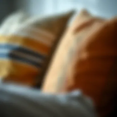 Close-up of fabric choices for pillow covers, highlighting durability and style.