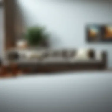 Diverse material options for sofa beds