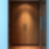 Elegant two door closet design with wood finish