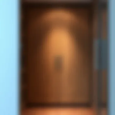 Elegant two door closet design with wood finish