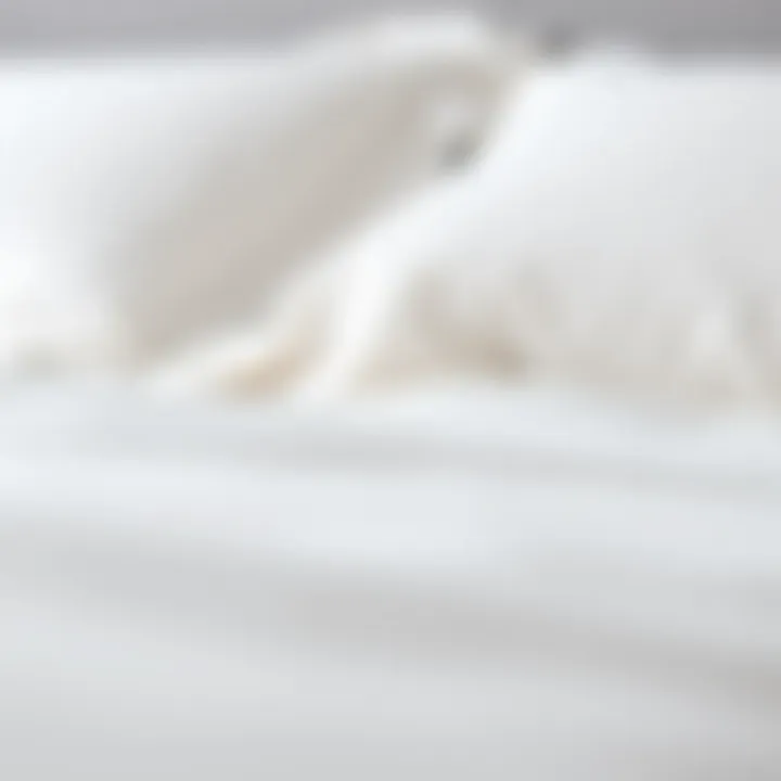 Close-up of textured fabric used in a plain bedspread