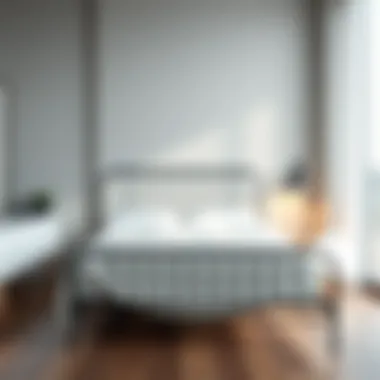 Minimalistic metal twin bed frame in modern bedroom