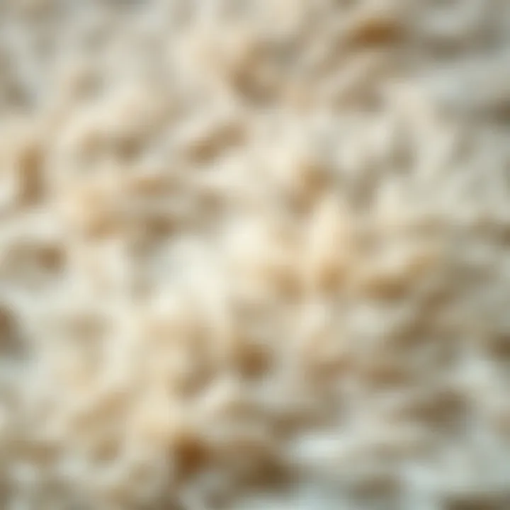 Close-up of a soft faux bear rug texture