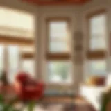 Elegant blinds showcasing a variety of styles