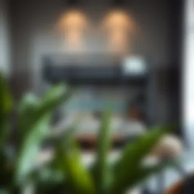 Stylish loft bed in a modern bedroom setting