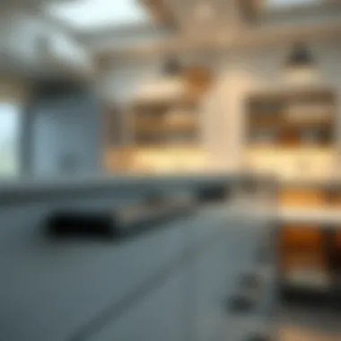 Long black drawer handles in a commercial setting combining form and function