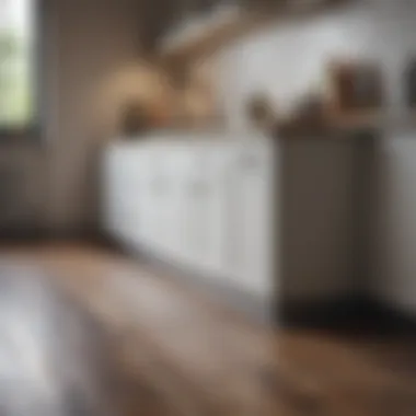 Modern Small Kitchen Floor Cabinets Sleek small kitchen floor cabinets with modern design