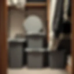 Stylish plastic storage bins with lids arranged in a modern closet.