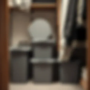 Stylish plastic storage bins with lids arranged in a modern closet.