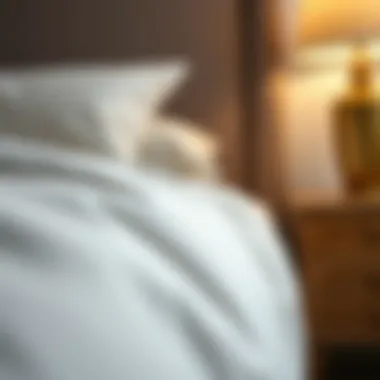 Close-up of high-quality materials used in bed construction