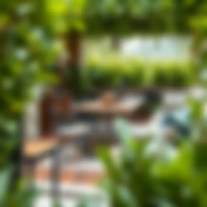 Stylish Dining Set in a Green Oasis Stylish dining set under a canopy of greenery, creating an inviting atmosphere