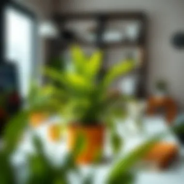 Vibrant Desk Plant to Brighten Workspaces An inspiring desk plant thriving in a modern workspace