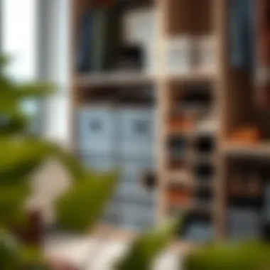 Stylish shoe box organizer arrangement in a modern closet