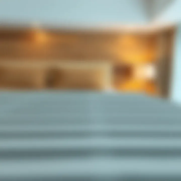 Guide to maintenance practices for Sleep Number bed slats