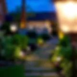 Elegant garden pathway illuminated by solar lights