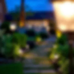 Elegant garden pathway illuminated by solar lights