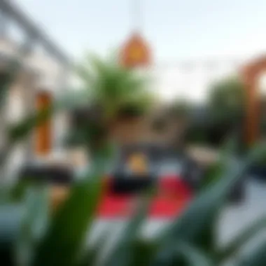 Beautifully decorated outdoor area featuring a solid red rug