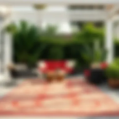 Maintenance tips for keeping outdoor rugs clean