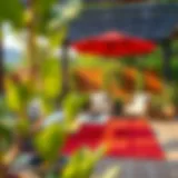 A vibrant solid red outdoor rug enhancing a patio setting