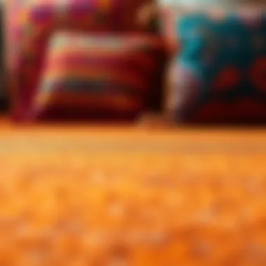 Textured burnt orange rug paired with colorful pillows