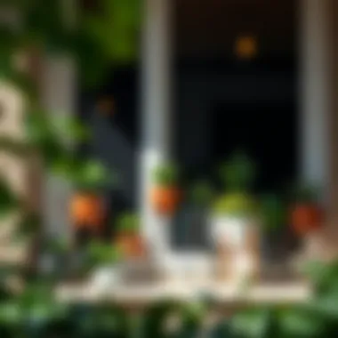 Creative arrangement of various plant stands enhancing window decor